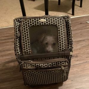 Petote rolling pet carrier, backpack, car seat